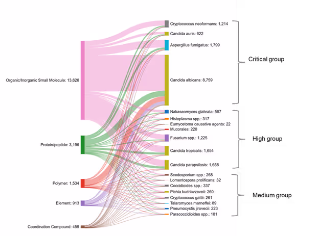 Figure 7: Sankey graph showing co-occurrences between different classes of substances and various fungal strains based on WHO priority lists in journal and patent publications from 2015−2024. Only substances indexed with CAS roles THU, or PAC, or PKT were included for the analysis. Source: CAS Content Collection. 