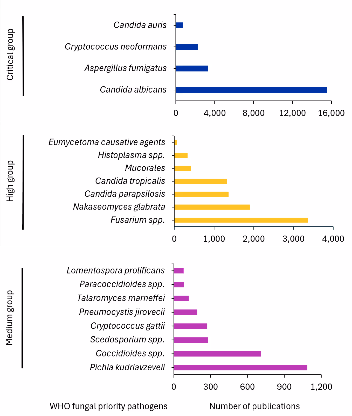 Figure 4: Relative distribution of various WHO fungal priority pathogens in antifungal journal and patent publications from 2005-2024. Source: CAS Content Collection. 