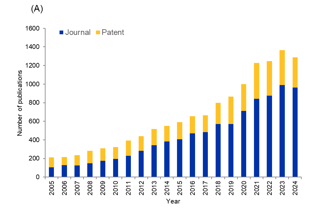 (A) Number of publications (journals and patents) related to antifungal materials from 2005-2024