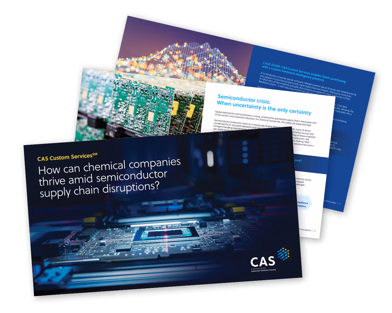 CAS document preview showing case study pages