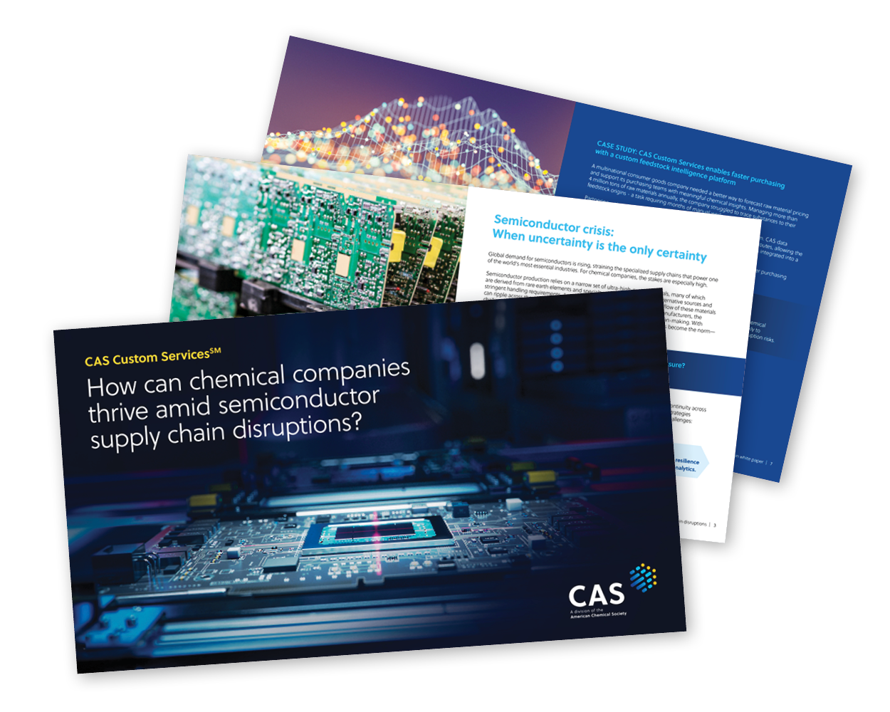 CAS document preview showing case study pages