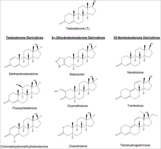 三类合成代谢类固醇