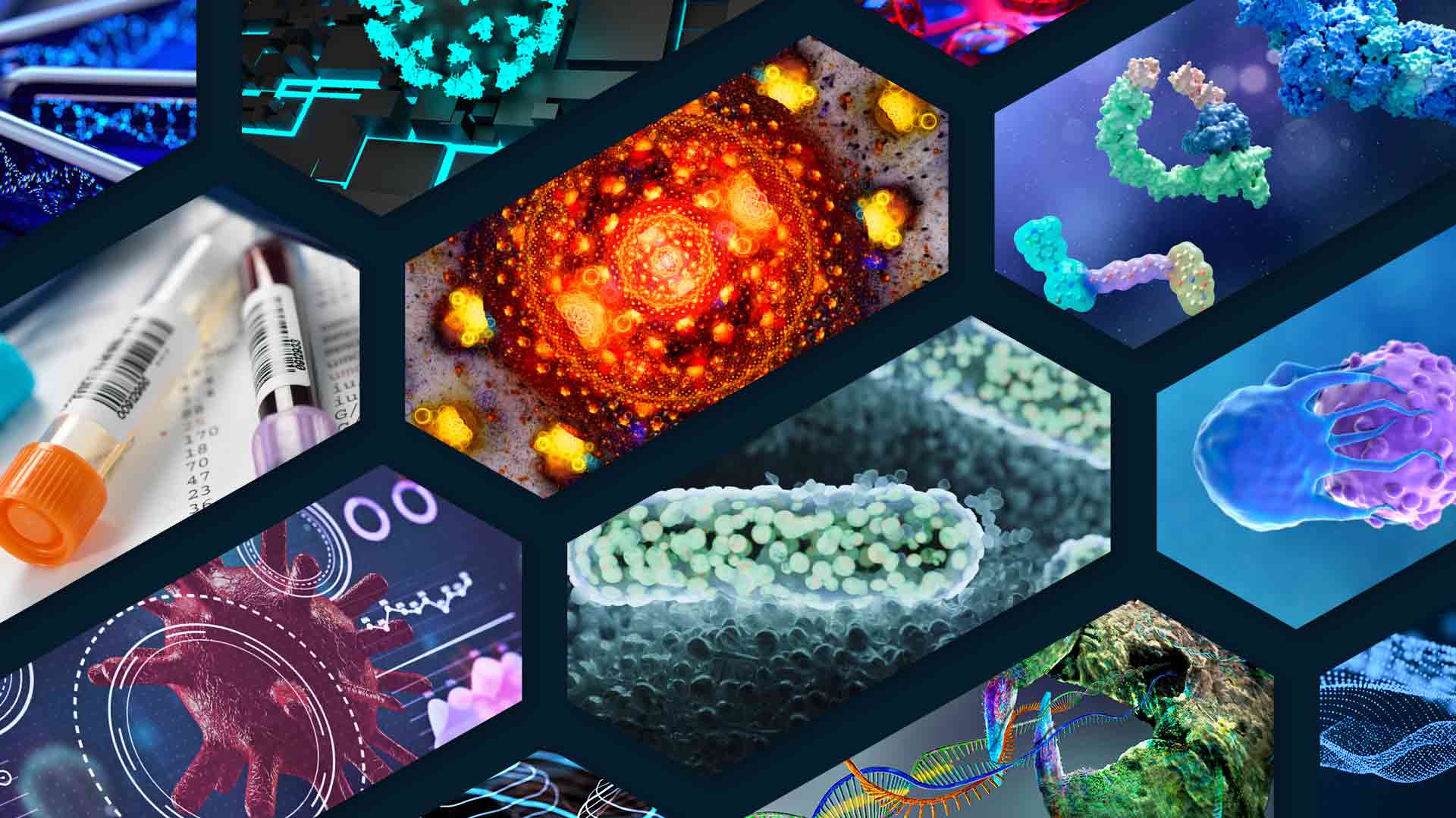 Collage of colorful scientific and medical imagery including microscopic cells, DNA structures, brain scans, molecular models, and laboratory equipment arranged in a grid pattern against a dark background.