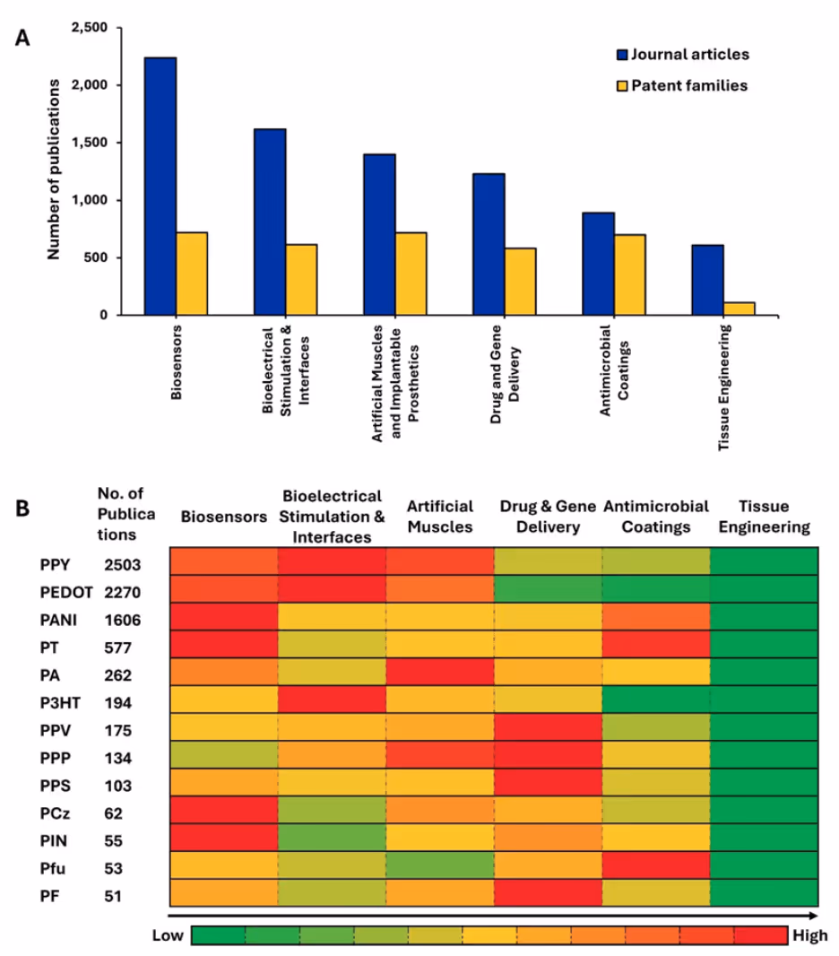 Bar graph and heat map showing biomedical applications of conductive polymers. The bar graph compares journal articles and patent families across six categories: biosensors, bioelectrical stimulation, artificial muscles, drug/gene delivery, antimicrobial coatings, and tissue engineering. The heat map shows usage frequency of polymers like PPY, PEDOT, and PANI across these applications, with color intensity indicating prevalence.