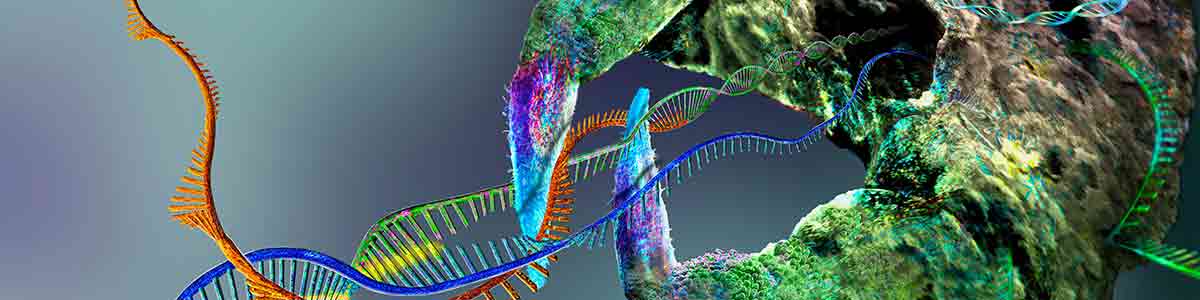 Complexo de edição de genes CRISPR-Cas9 e células, ilustração conceitual. A proteína CRISPR-Cas9 é usada na engenharia do genoma para cortar o DNA (ácido desoxirribonucleico). Utiliza uma sequência guia de RNA (ácido ribonucleico) para cortar o DNA em um local de clivagem complementar.