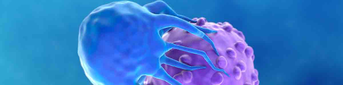 Ilustração médica em 3D de um organismo ou célula translúcido azul semelhante a uma água-viva, com estruturas internas rosa-púrpura, em um fundo azul brilhante.