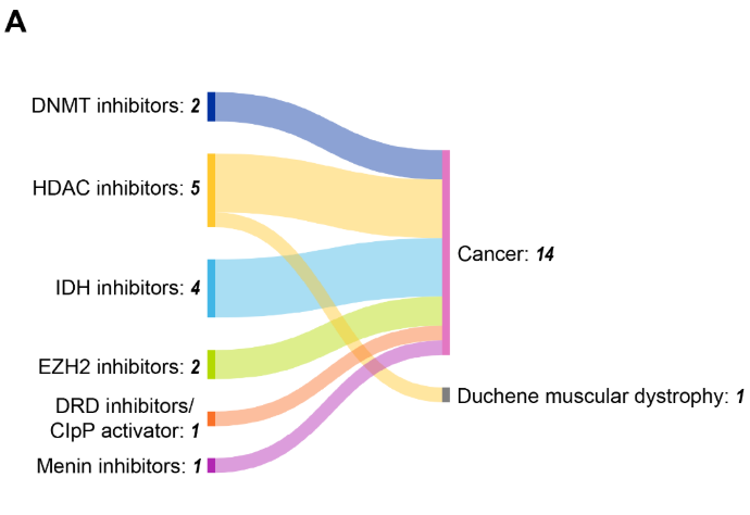 Sankey diagram showing epigenetic drug classes linked to disease targets. HDAC inhibitors lead with 5 publications, DNMT inhibitors 2, IDH inhibitors 4, EZH2 inhibitors 2, DRD/ClpP activator 1, and menin inhibitors 1. Most connect to cancer (14 total), with one for Duchenne muscular dystrophy.