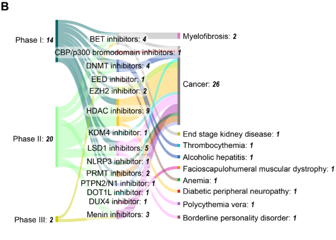 Sankey diagram showing epigenetic drugs in clinical phases linked to disease targets. Phase I includes BET inhibitors (4), DNMT inhibitors (4), HDAC inhibitors (9), and others. Phase II adds LSD1 inhibitors (5) and menin inhibitors (3). Cancer dominates with 26 trials; other conditions include myelofibrosis, kidney disease, thrombocythemia, alcoholic hepatitis, muscular dystrophy, anemia, neuropathy, polycythemia vera, and borderline personality disorder (each 1).