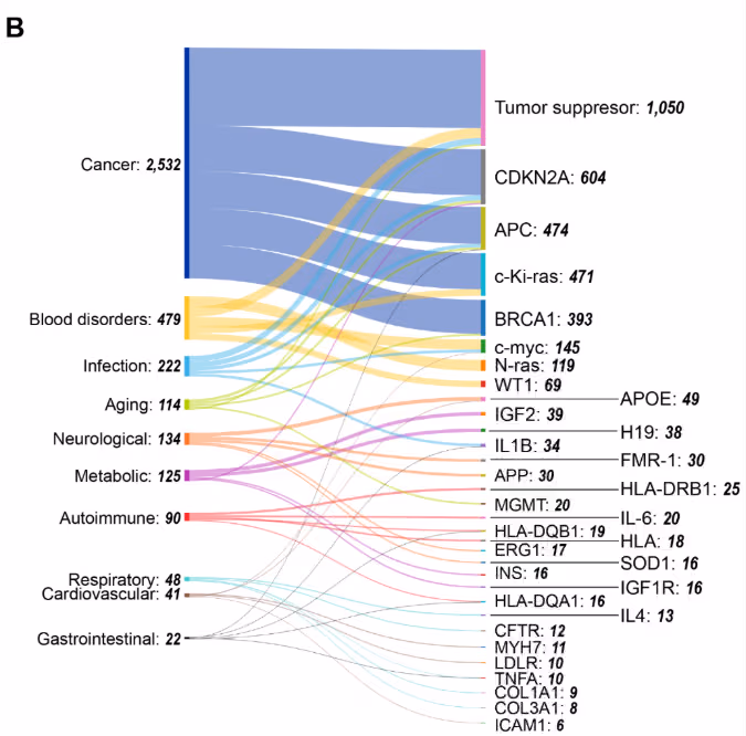 Sankey diagram showing relationships between disease areas and genes in epigenetics patent families, with cancer (2,532) connecting to tumor suppressors, CDKN2A, APC, and other genes.