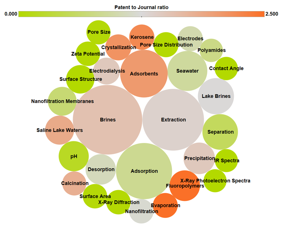 DLE 관련 간행물에서 가장 많이 색인된 개념