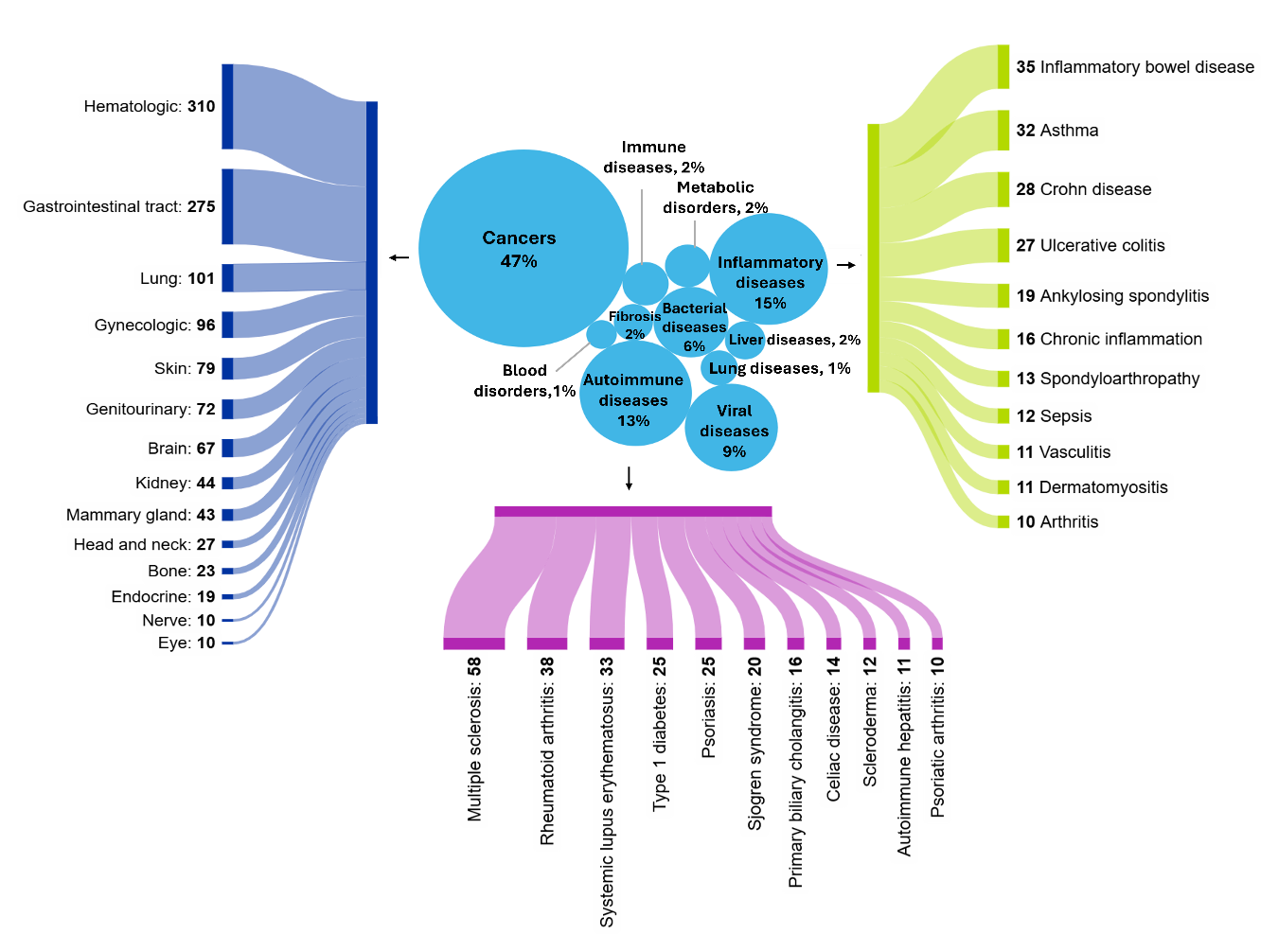 MAIT 细胞数据集中出现的疾病概念的相对分布