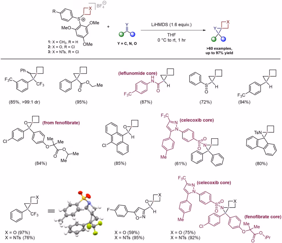 Scheme 2 — Synthesis of spiro[2.3]hexanes Reaction scheme illustrating modular synthesis of over 60 spiro[2.3]hexane substrates, including drug-like molecules incorporating celecoxib and fenofibrate cores.