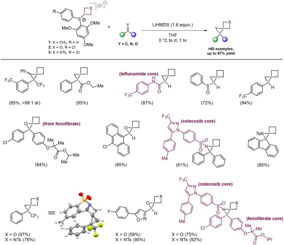 Scheme 2 — Synthesis of spiro[2.3]hexanes Reaction scheme illustrating modular synthesis of over 60 spiro[2.3]hexane substrates, including drug-like molecules incorporating celecoxib and fenofibrate cores.