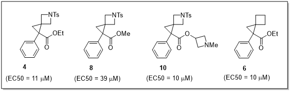 Figure 4 — In vitro binding activity resultsDose-response graph showing micromolar binding activity (10–39 μM) of prioritized spiro[2.3]hexane ligands at μ-opioid receptors, validating AI-driven predictions from CAS BioFinder.