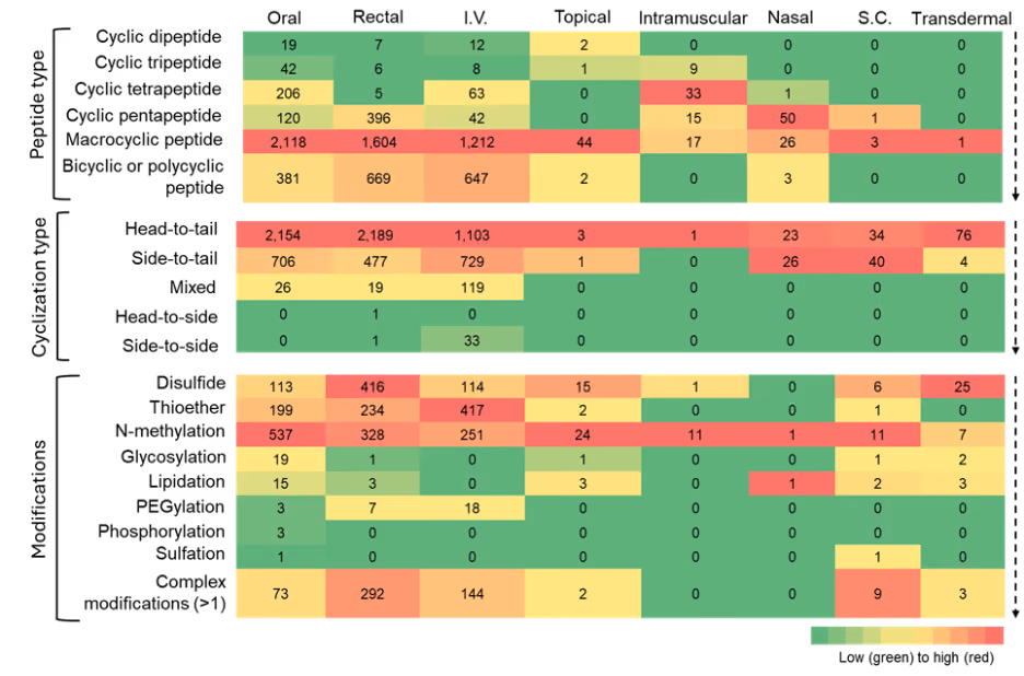 Figure 7: Heatmap showing co-occurrence of cyclic peptide types, cyclization strategies, and chemical modifications with various routes of administration. Color intensity indicates relative frequency. Oral, rectal, and intravenous routes show the highest co-occurrence across nearly all peptide types. Subcutaneous and transdermal routes show very low representation. N-methylation and disulfide or thioether linkages show the strongest association with oral and intravenous routes.