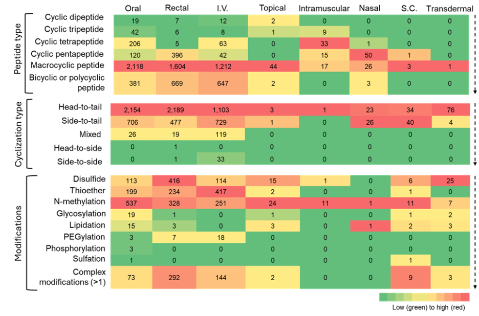 Figure 7: Heatmap showing co-occurrence of cyclic peptide types, cyclization strategies, and chemical modifications with various routes of administration. Color intensity indicates relative frequency. Oral, rectal, and intravenous routes show the highest co-occurrence across nearly all peptide types. Subcutaneous and transdermal routes show very low representation. N-methylation and disulfide or thioether linkages show the strongest association with oral and intravenous routes.