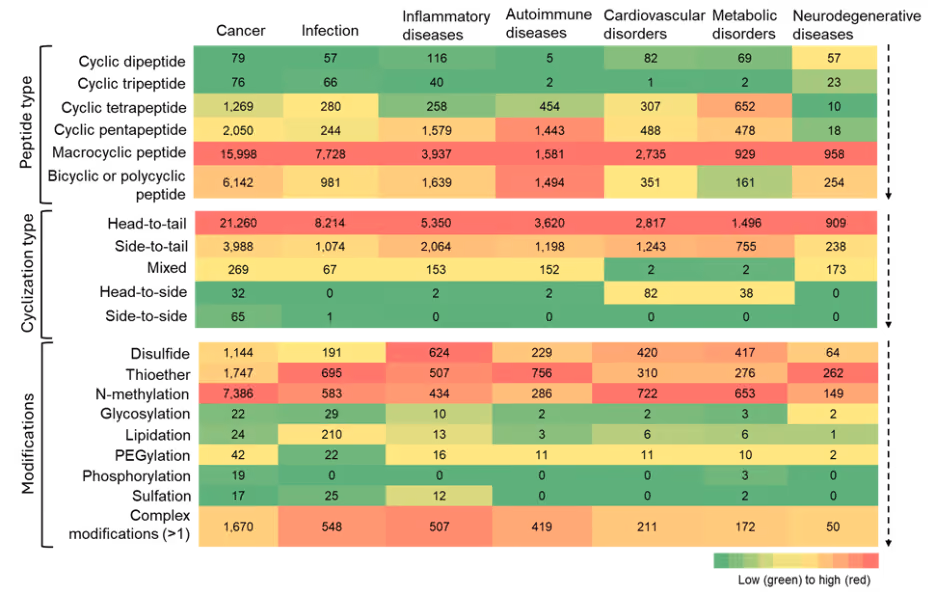 Figure 8: Heatmap showing co-occurrence of cyclic peptide types, cyclization strategies, and modifications with major therapeutic areas. Color intensity indicates relative frequency. Macrocyclic peptides show the highest co-occurrence across nearly all areas, with especially strong representation in cancer, infectious disease, inflammatory conditions, and autoimmune diseases. Smaller ring sizes show more limited applicability across therapeutic areas.