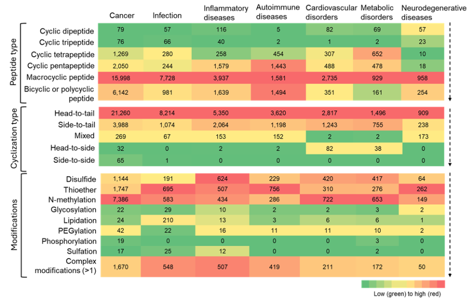 Figure 8: Heatmap showing co-occurrence of cyclic peptide types, cyclization strategies, and modifications with major therapeutic areas. Color intensity indicates relative frequency. Macrocyclic peptides show the highest co-occurrence across nearly all areas, with especially strong representation in cancer, infectious disease, inflammatory conditions, and autoimmune diseases. Smaller ring sizes show more limited applicability across therapeutic areas.