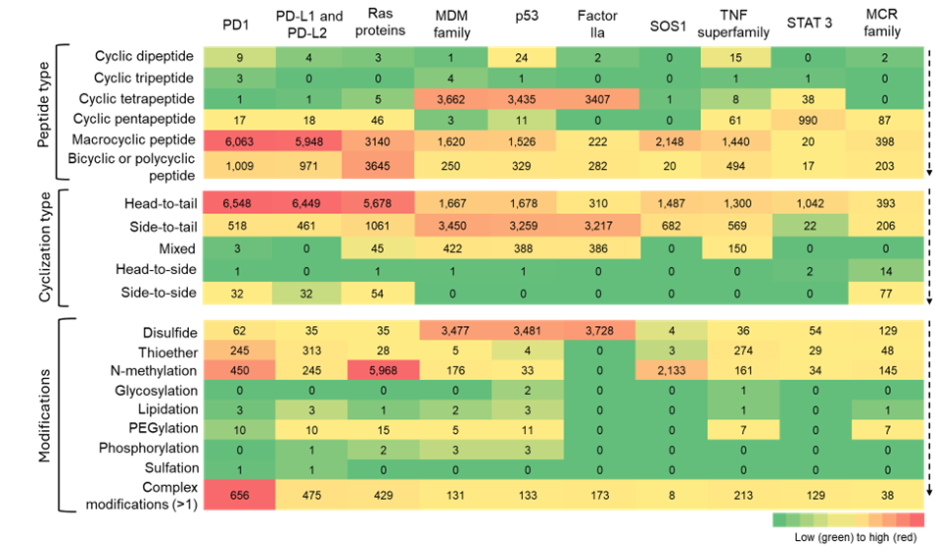Figure 9: Heatmap showing co-occurrence of cyclic peptide types, cyclization strategies, and modifications with ten potential molecular targets. Color intensity indicates relative frequency. Macrocyclic peptides co-occur most prominently with PD-1/PD-L1, Ras family proteins, and SOS1. Side-to-tail and mixed cyclization approaches appear more often with MDM, p53, and Factor IIa. N-methylation shows frequent association with Ras proteins.