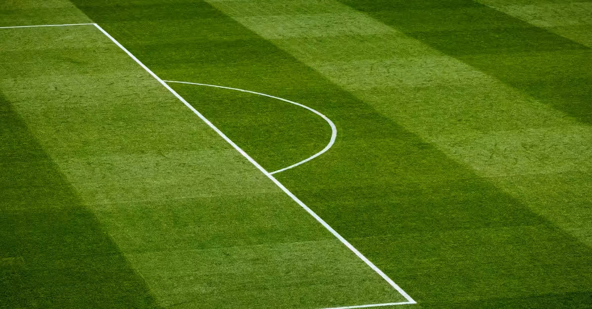 Close-up of a green soccer field section showing white goal area and penalty arc lines.