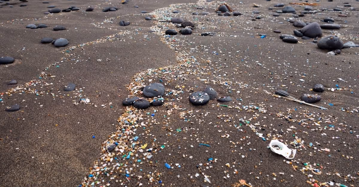Black sandy beach littered with microplastic fragments and scattered dark smooth stones.
