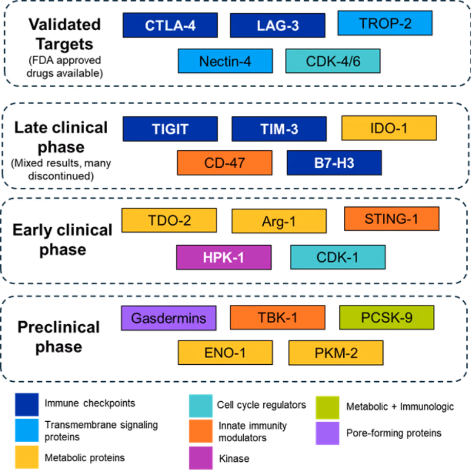 Overview diagram of emerging immuno-oncology targets organized by clinical stage (preclinical, Phase I/II, Phase III, and FDA approved) and mechanism of action, including checkpoints, metabolic targets, innate immune activators, and antibody-drug conjugate targets.A screenshot of a computer