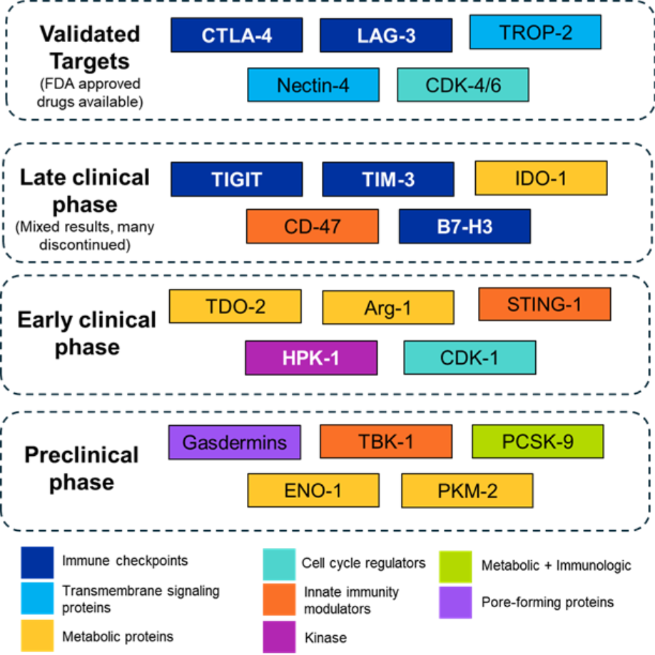 Overview diagram of emerging immuno-oncology targets organized by clinical stage (preclinical, Phase I/II, Phase III, and FDA approved) and mechanism of action, including checkpoints, metabolic targets, innate immune activators, and antibody-drug conjugate targets.A screenshot of a computer
