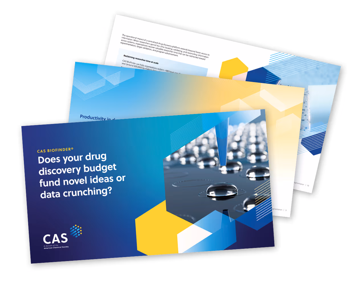 CAS document preview showing case study pages