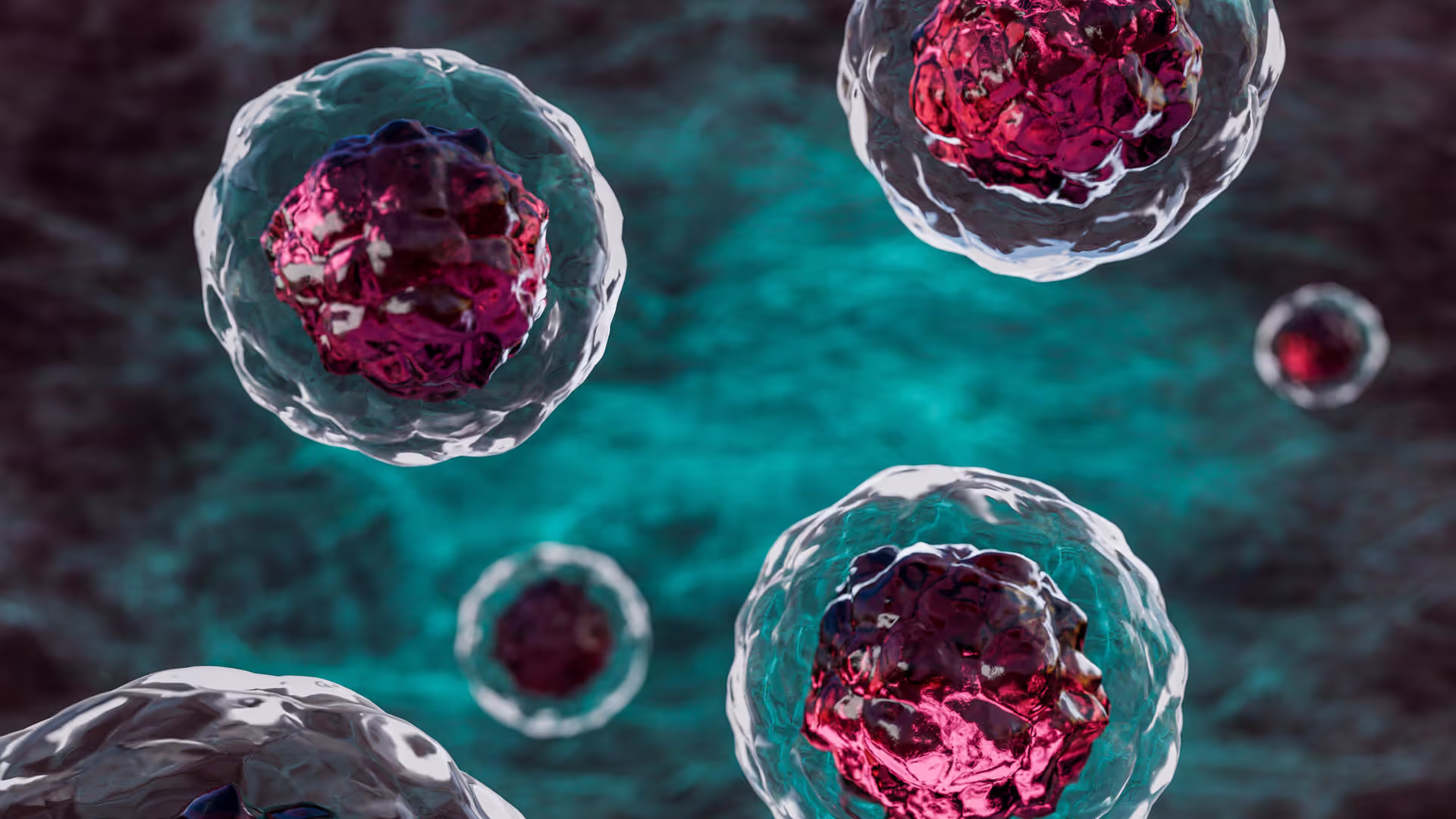 Close-up of several human cells floating through veins. Magnified body's raw materials