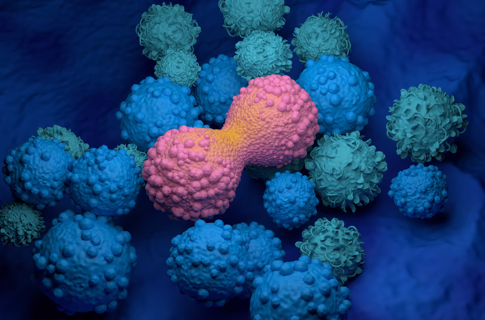 Pink tumour cell surrounded by teal immune cells on a blue background.