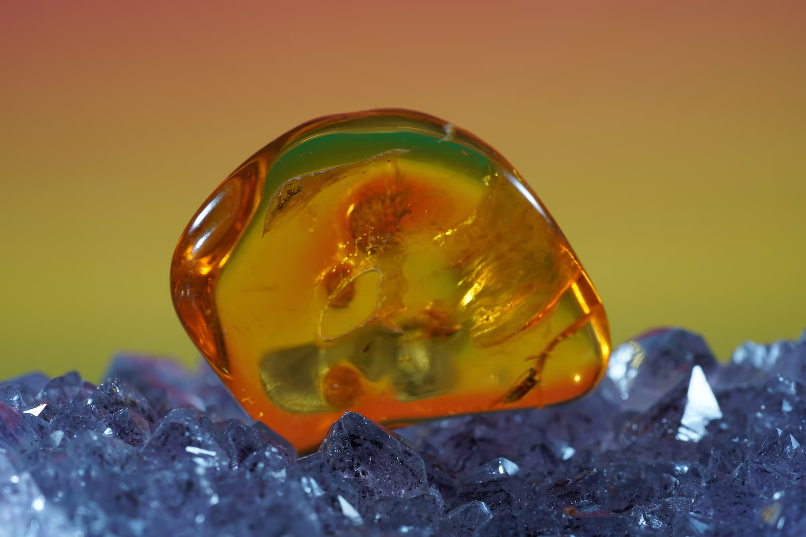 Insect preserved in a polished amber specimen resting on crystals.