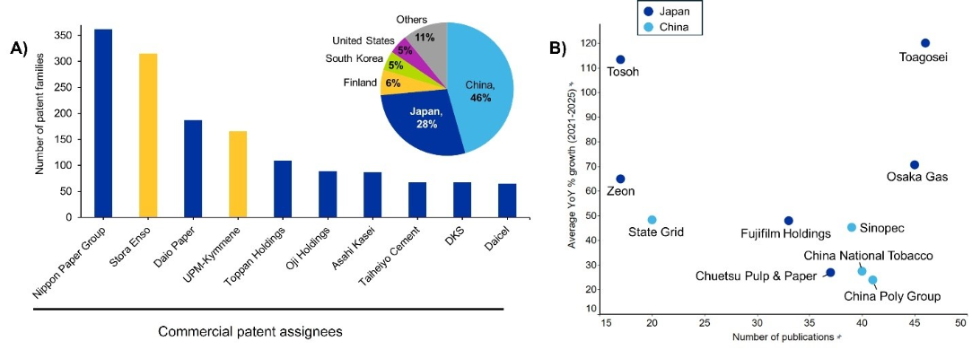Figure 6: Two panels. (A) Bar chart of leading commercial patent assignees, led by Nippon Paper Group and Stora Enso, with Daio Paper and UPM-Kymmene next, then Toppan Holdings, Oji Holdings, Asahi Kasei, Taiheiyo Cement, DKS, and Daicel in a lower tier. An inset pie shows China 46 percent, Japan 28 percent, Finland 6 percent, South Korea 5 percent, United States 5 percent. (B) Scatter plot of emerging assignees, where Toagosei and Tosoh post the highest average annual growth.