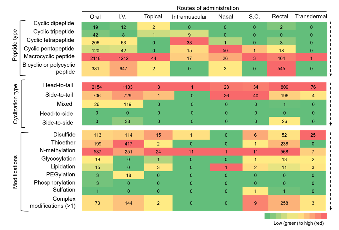 Heat map of cyclic peptide research activity across categories, shaded from low to high.