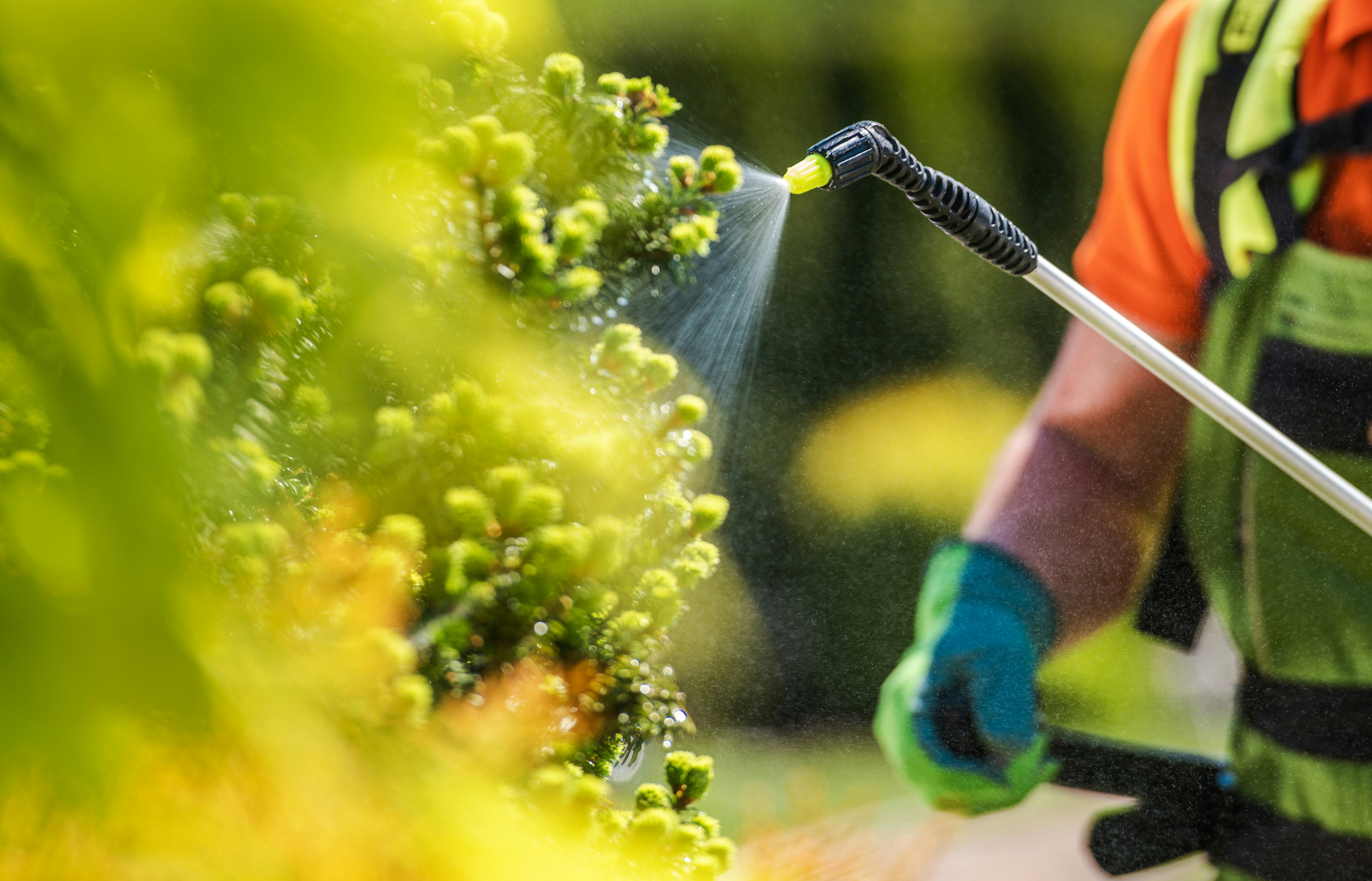 Roundup Litigation Update, Mid-2026
