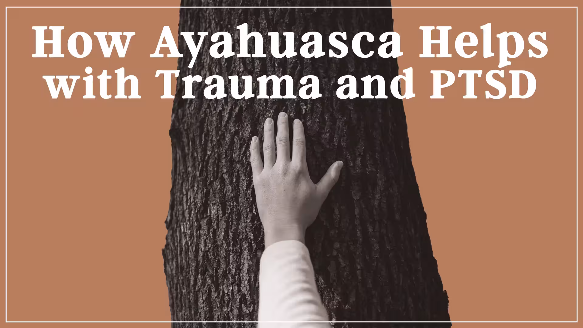 a person reaching up to a tree with the words how yahbasa helps with trauma