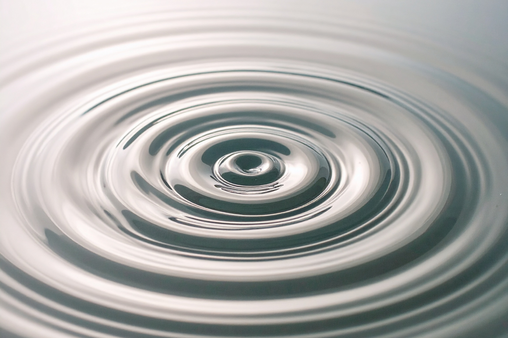 The best way to change the world