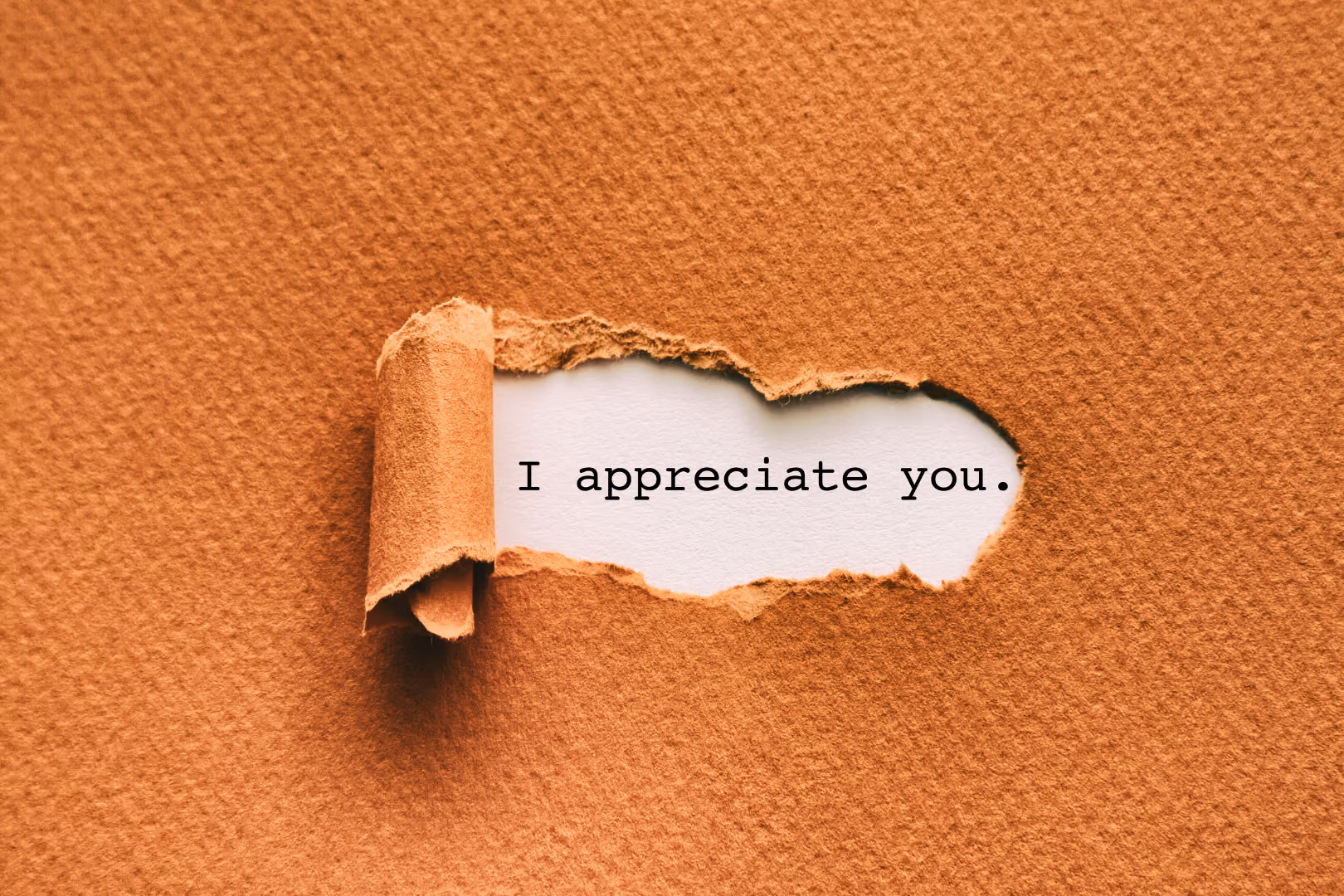 A Flurry of Appreciations