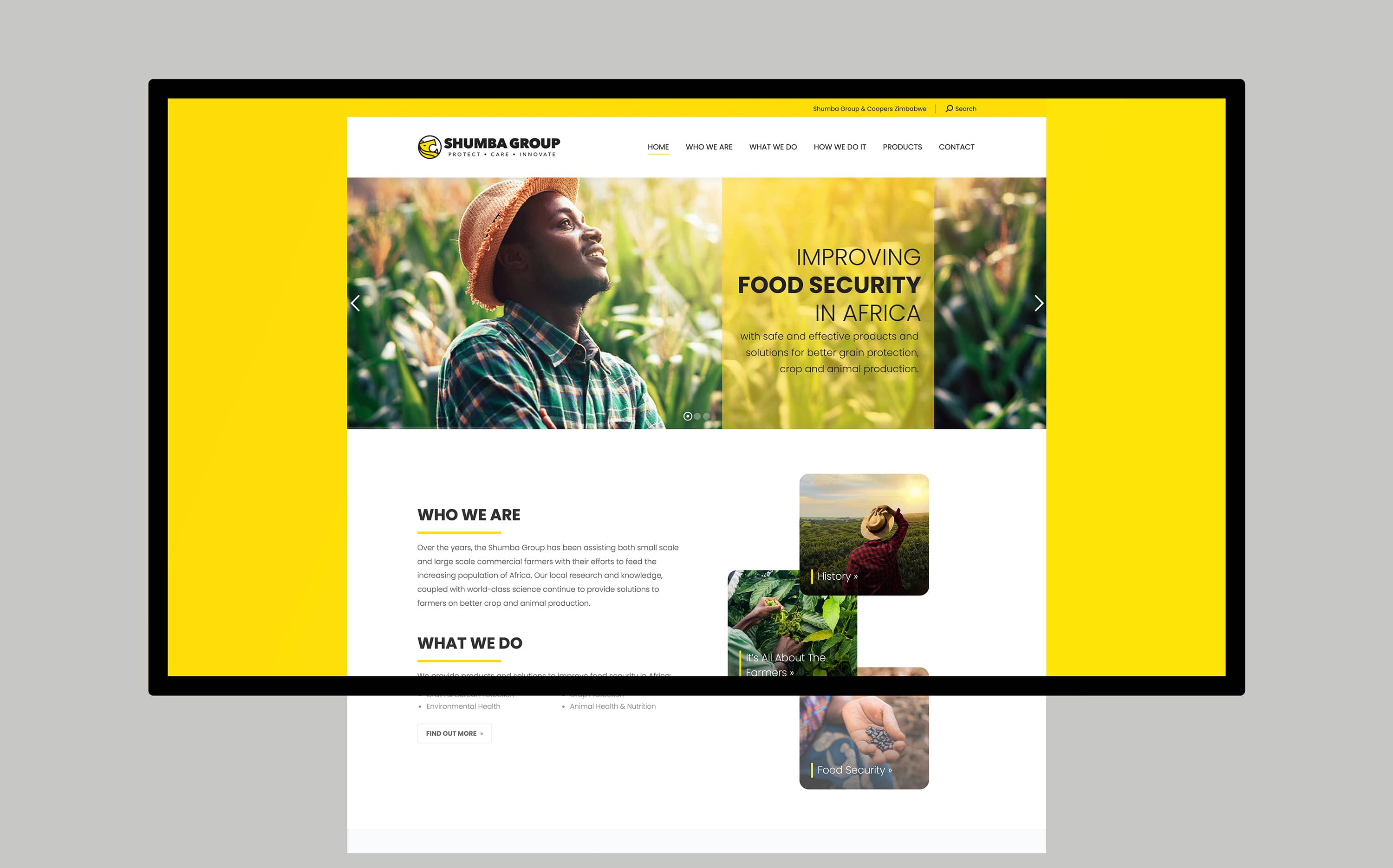 website design for Shumba Group