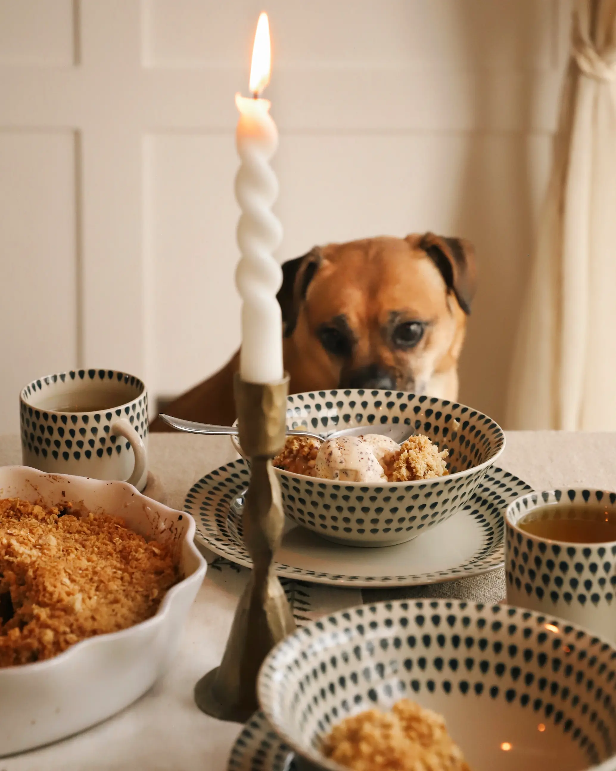 A dog peers over a dining table set with bowls of apple crumble, a scoop of ice cream, patterned crockery and a lit candle in the foreground.