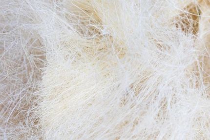 Staf & Stuc Plâtrerie Audoise