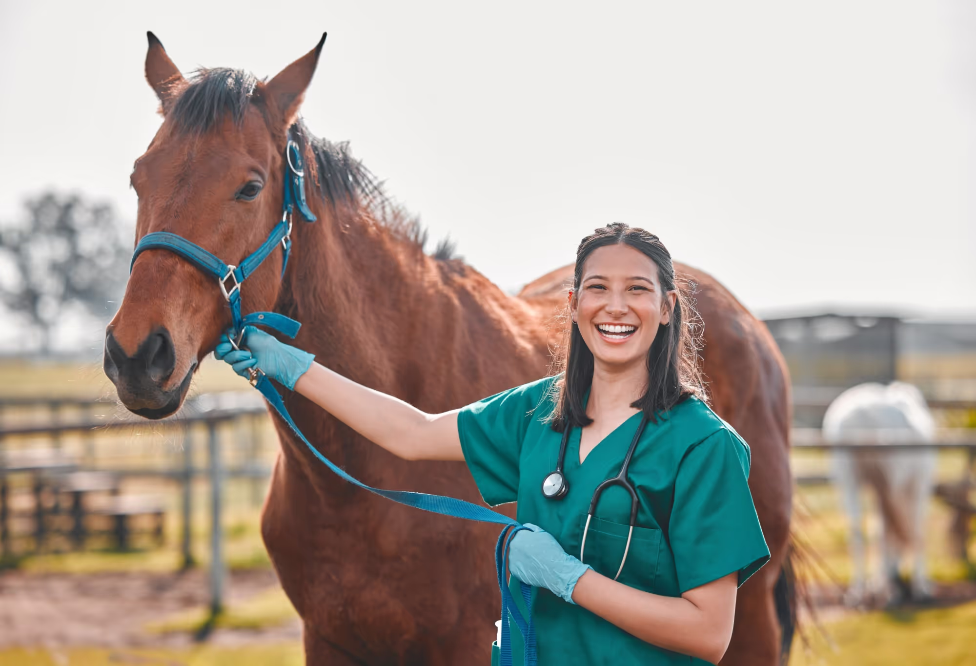 Smiling female veterinarian in green scrubs holding a brown horse by its blue halter in an outdoor fenced area.