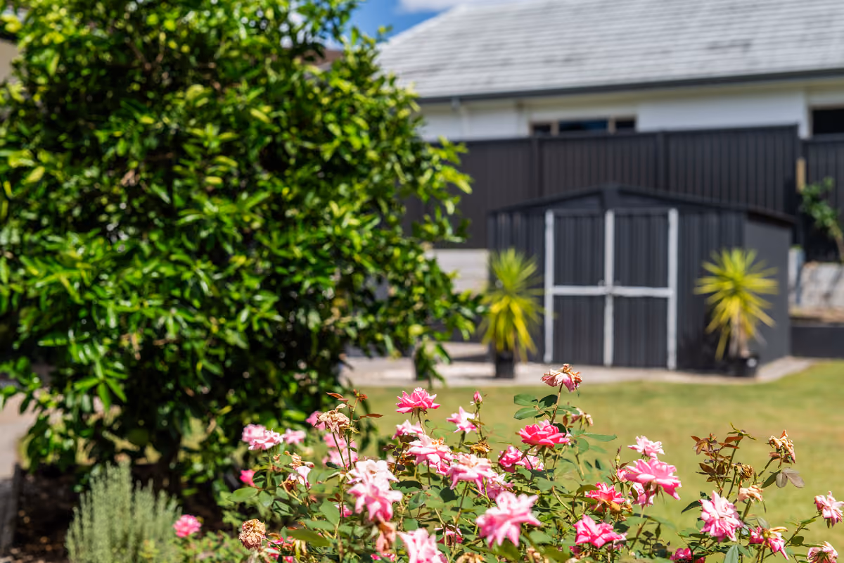 Prestige Living in Palmwoods