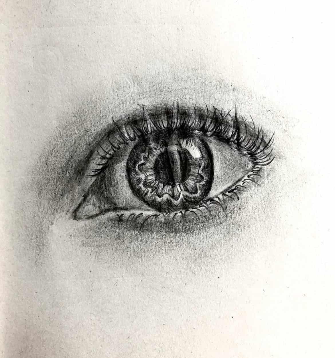 slideshow of drawings