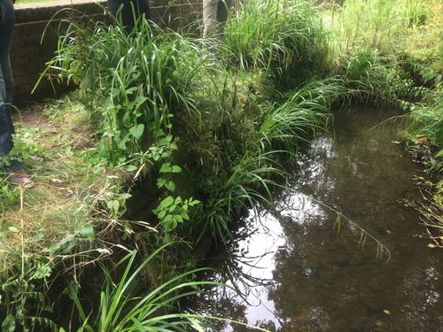 Flex MSE used to repair a damaged riverbank for Hampshire Environment agency