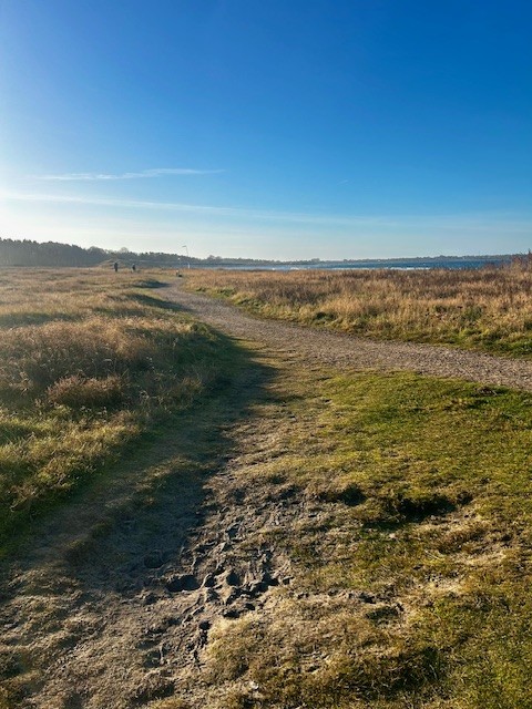 What I will take with me from 2025 into 2026