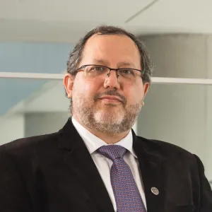 David Sulmont Haak