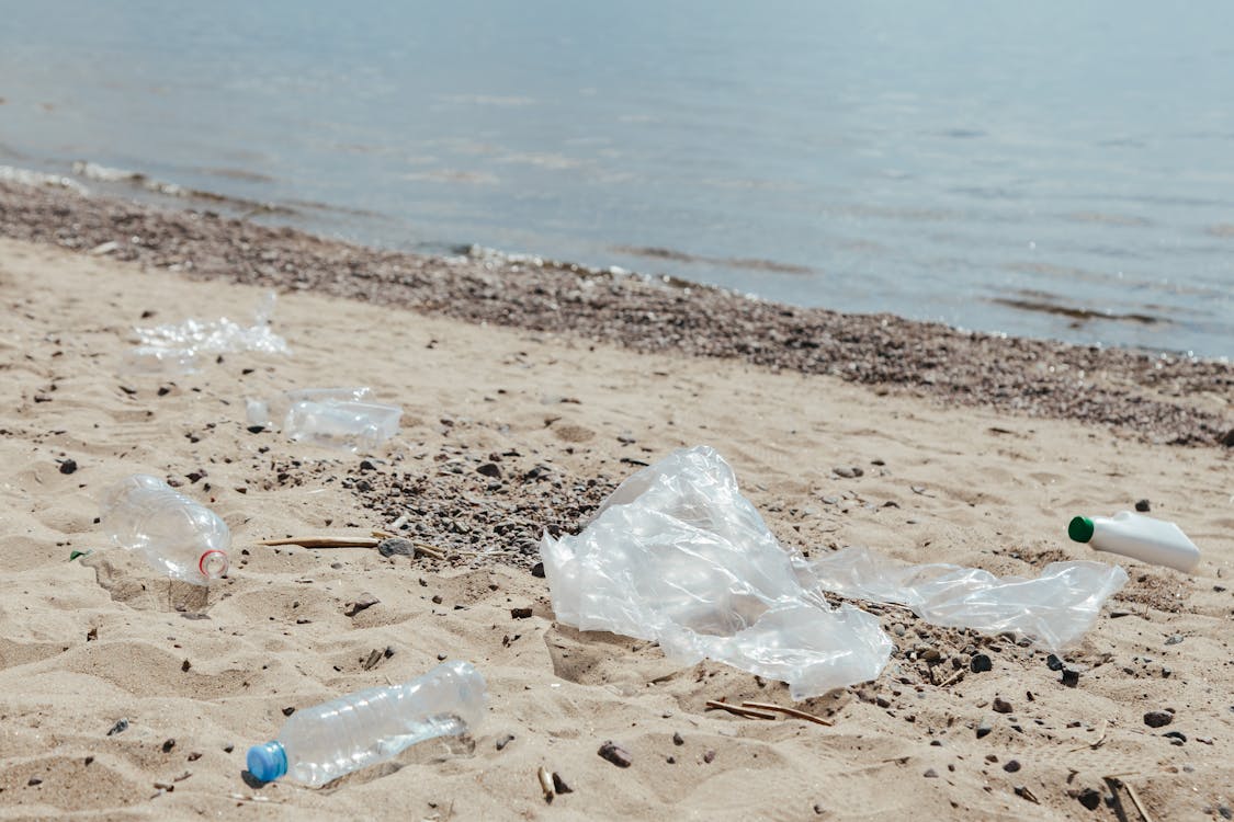 Plastic bottle discarded on beach sand - illustrating PLA greenwashing