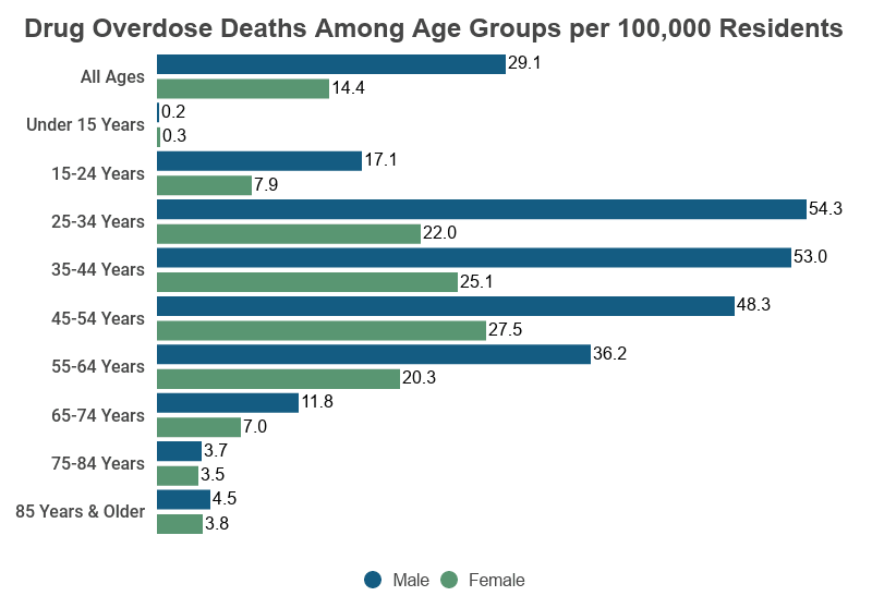 Drug Overdose Death Statistics [2023]: Opioids, Fentanyl & More