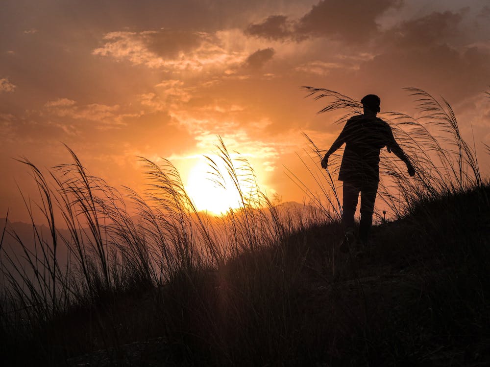 Free Silhouette of a Person Walking on a Grass Field at Sunset Stock Photo