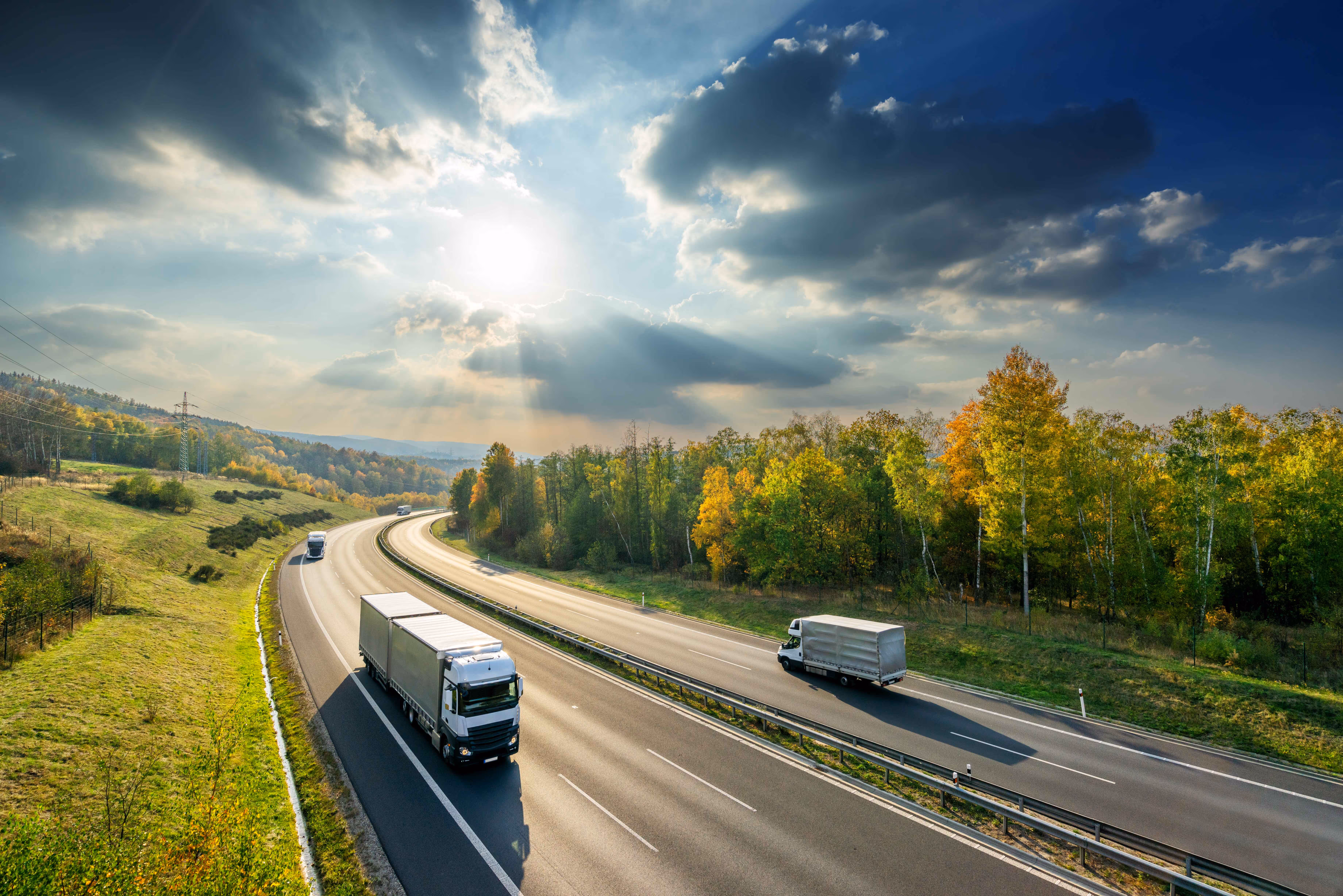 Traffic Management and analysis